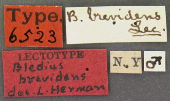 Media type: image;   Entomology 6523 Aspect: labels